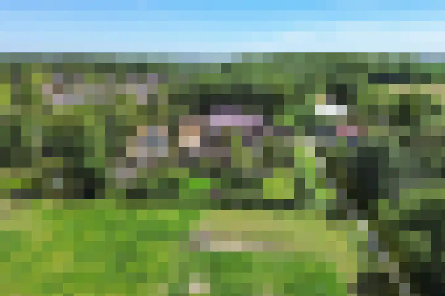 Hoofdstraat 3 Nieuwolda thumbnail 51