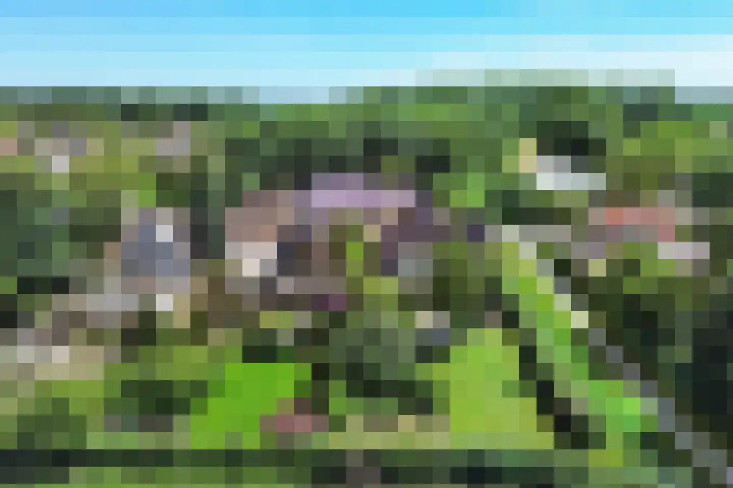 Hoofdstraat 3 Nieuwolda thumbnail 52