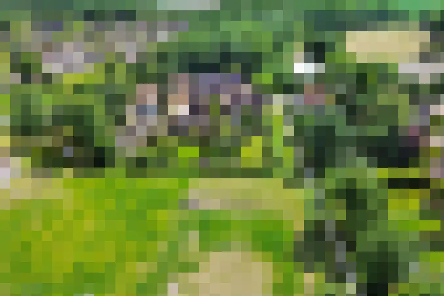 Hoofdstraat 3 Nieuwolda thumbnail 53