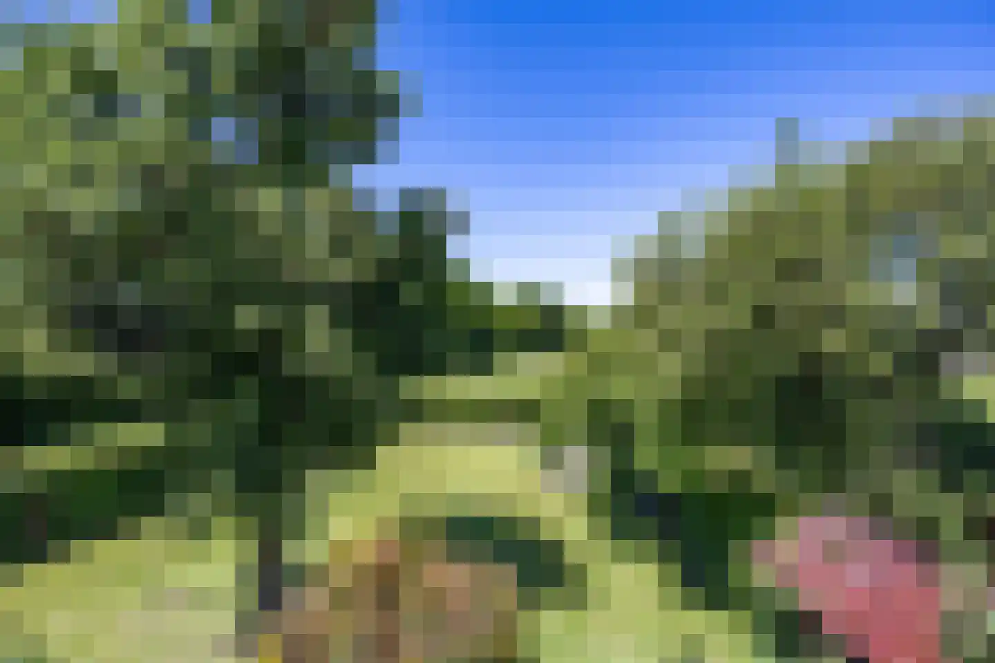 Hoofdstraat 3 Nieuwolda thumbnail 54