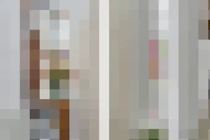 Hoofdstraat 3 Valthe thumbnail 11