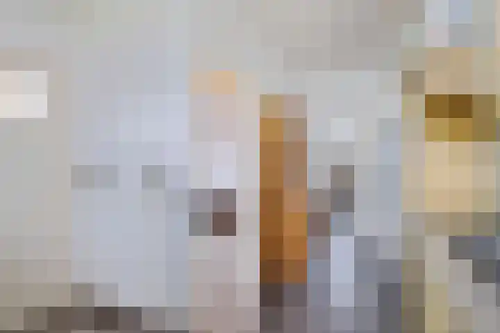 Hoofdstraat 3 Valthe thumbnail 18