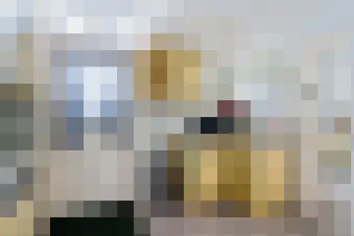 Hoofdstraat 3 Valthe thumbnail 20