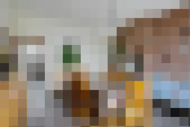 Hoofdstraat 3 Valthe thumbnail 27