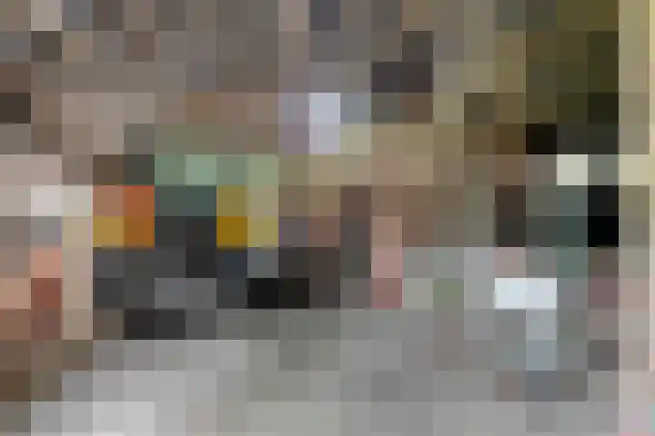Hoofdstraat 3 Valthe thumbnail 40