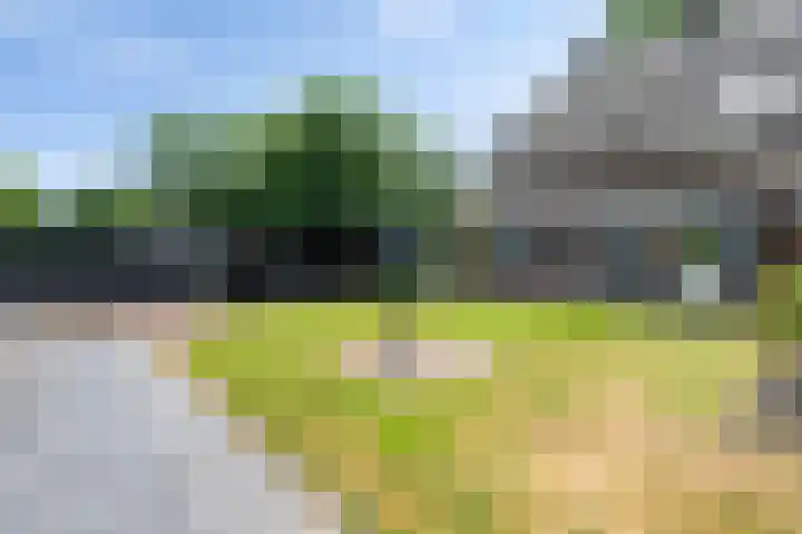 Hoofdstraat 3 Valthe thumbnail 42