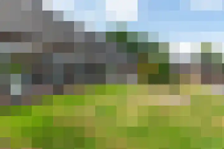 Hoofdstraat 3 Valthe thumbnail 43