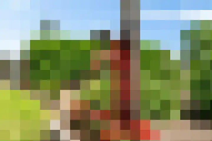 Hoofdstraat 3 Valthe thumbnail 45