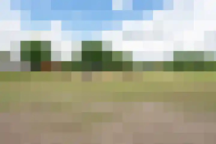 Hoofdstraat 3 Valthe thumbnail 50