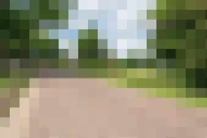 Hoofdstraat 3 Valthe thumbnail 6