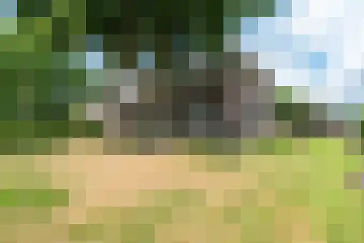 Hoofdstraat 3 Valthe thumbnail 8