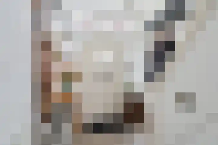 Hoofdstraat 3 Valthe thumbnail 9