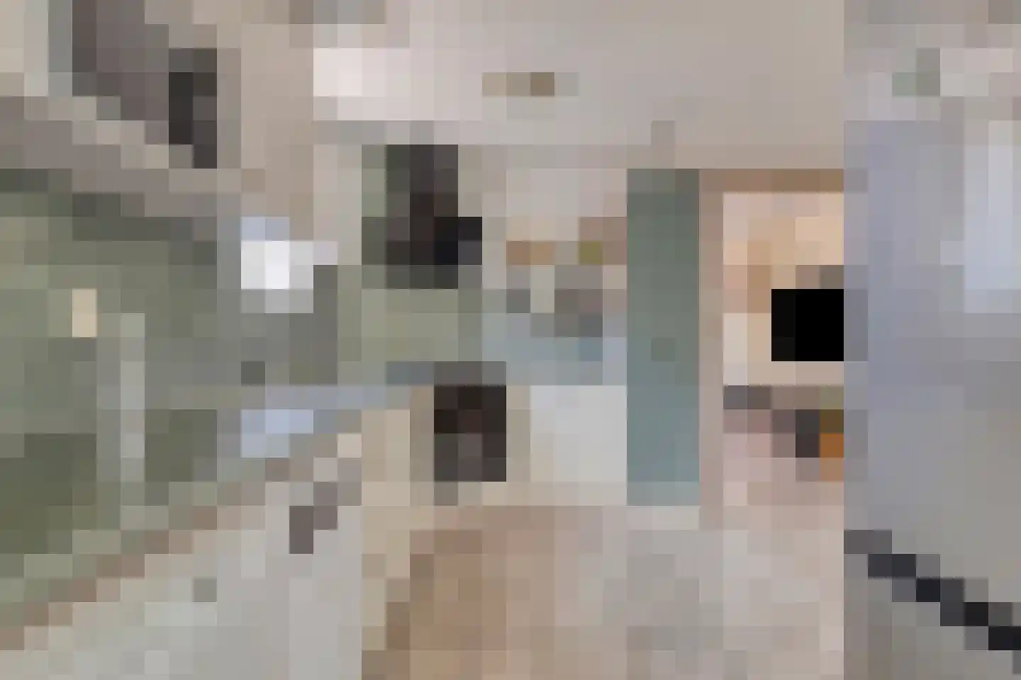 Hoofdstraat 30 Bovenkarspel thumbnail 19