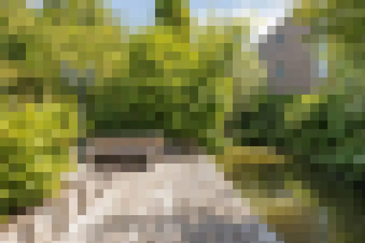 Hoofdstraat 30 Bovenkarspel thumbnail 36