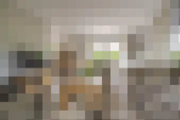 Hoofdstraat 30 Een thumbnail 18