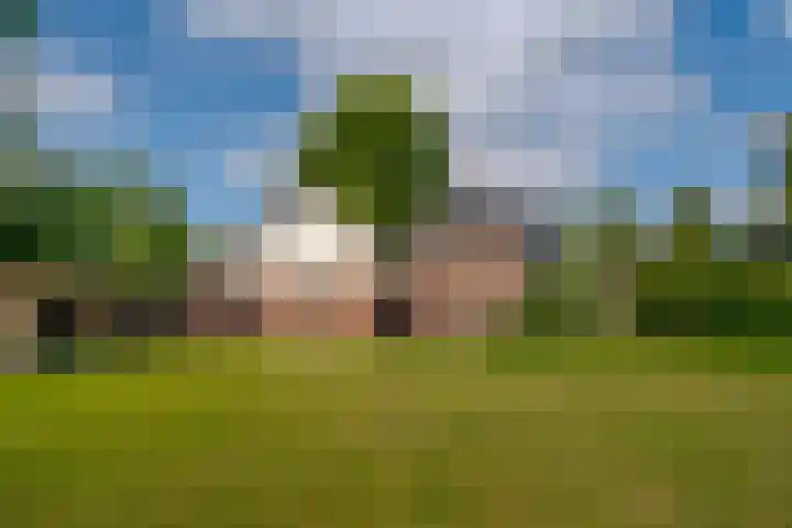 Hoofdstraat 30 Een thumbnail 53