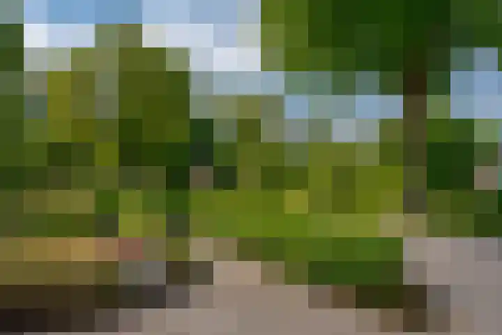 Hoofdstraat 30 Een thumbnail 6