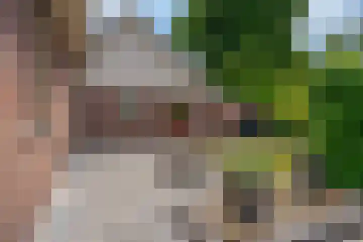 Hoofdstraat 30 Een thumbnail 60