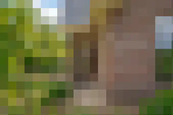 Hoofdstraat 30 Een thumbnail 9