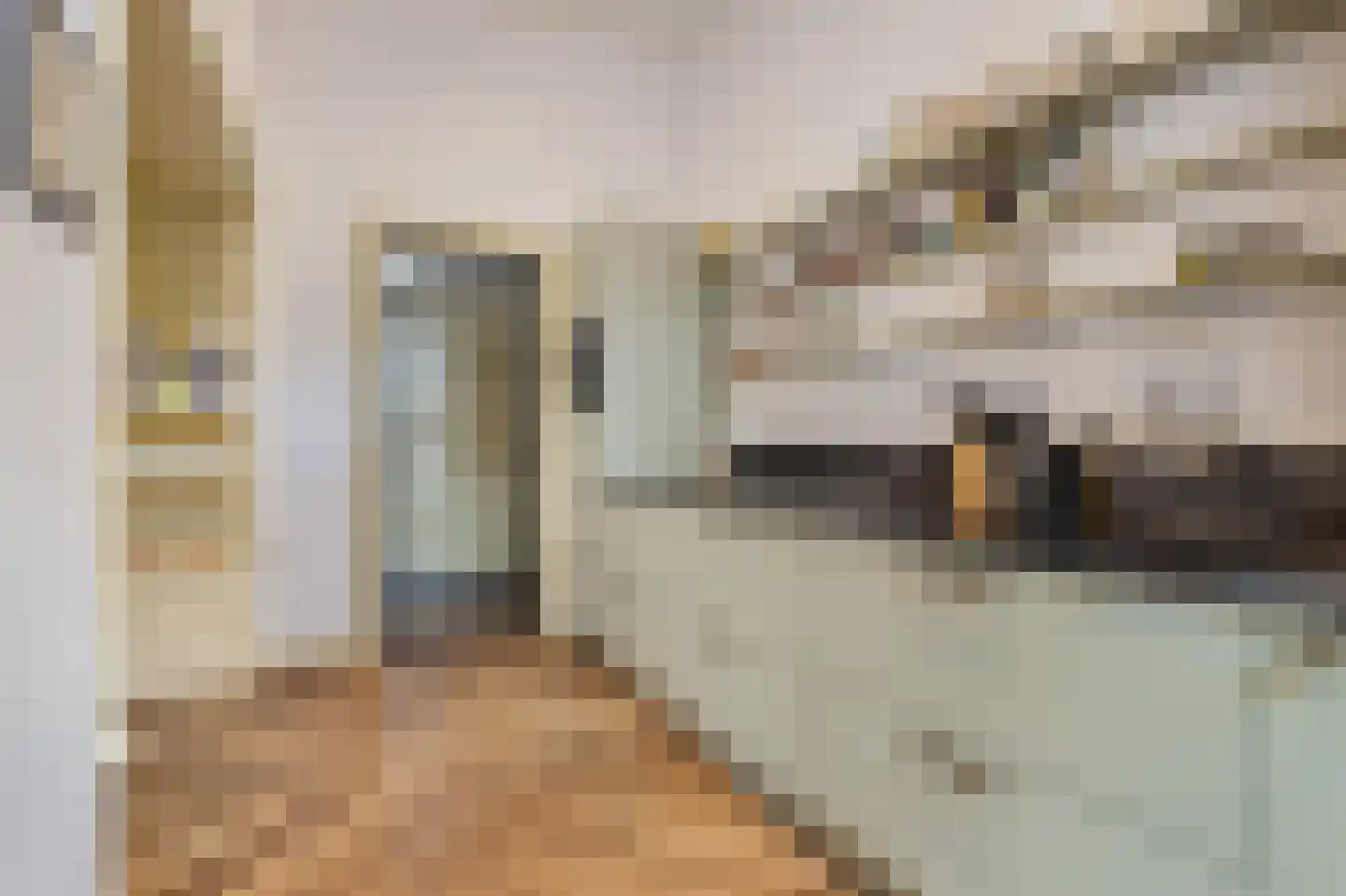 Hoofdstraat 31 A Beetsterzwaag thumbnail 12