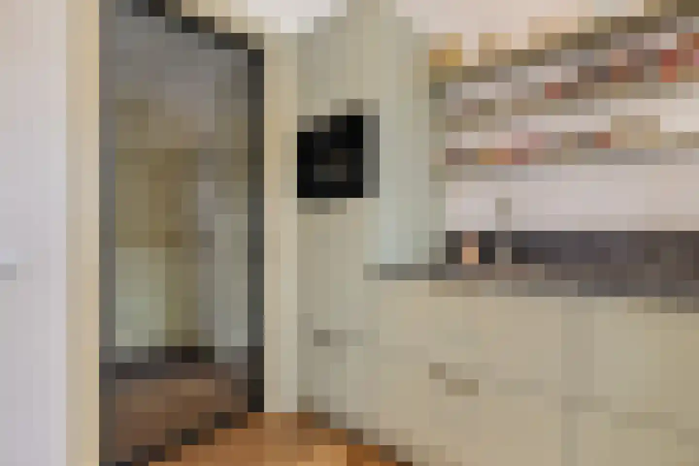 Hoofdstraat 31 A Beetsterzwaag thumbnail 13