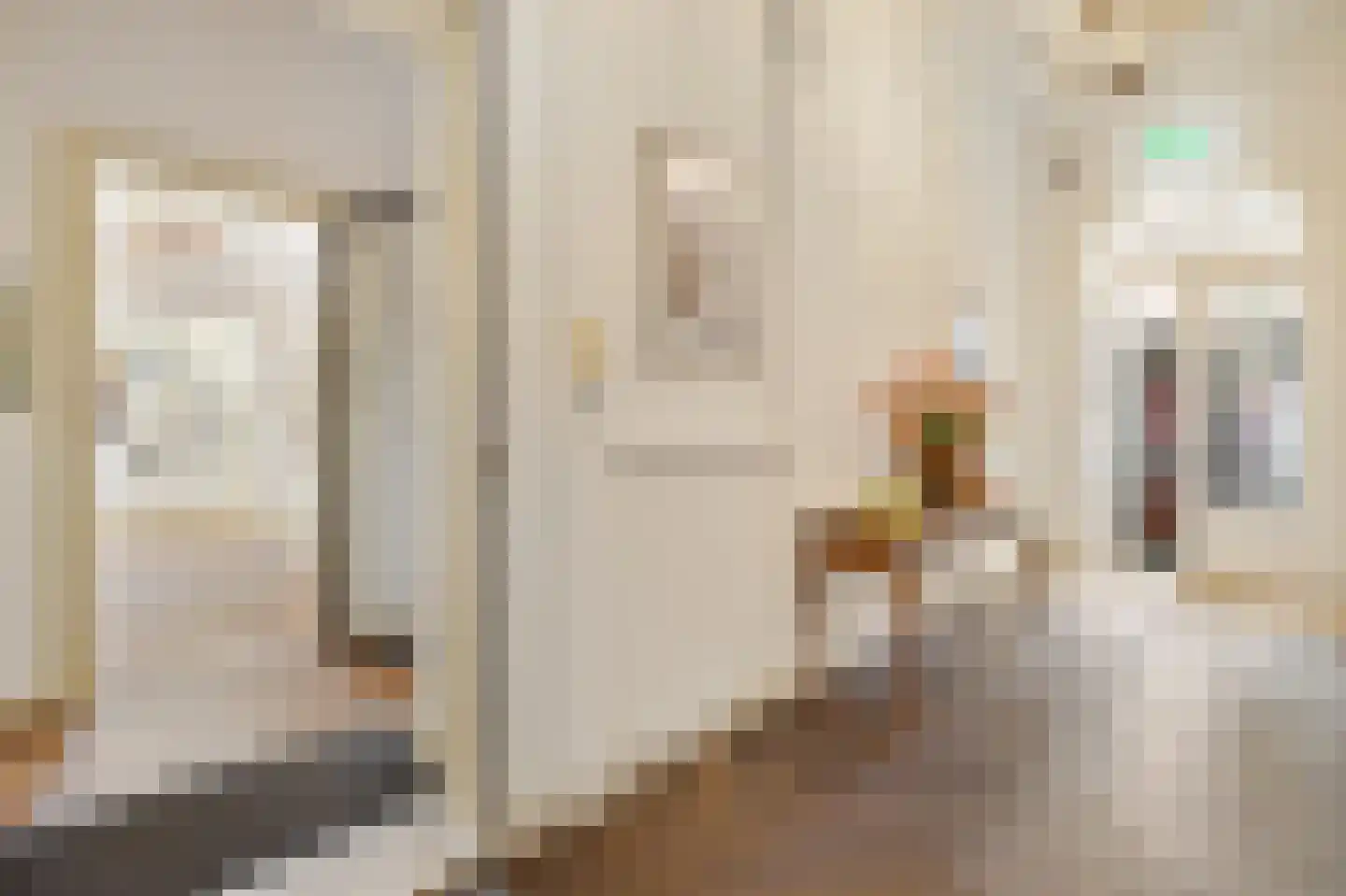 Hoofdstraat 31 A Beetsterzwaag thumbnail 44