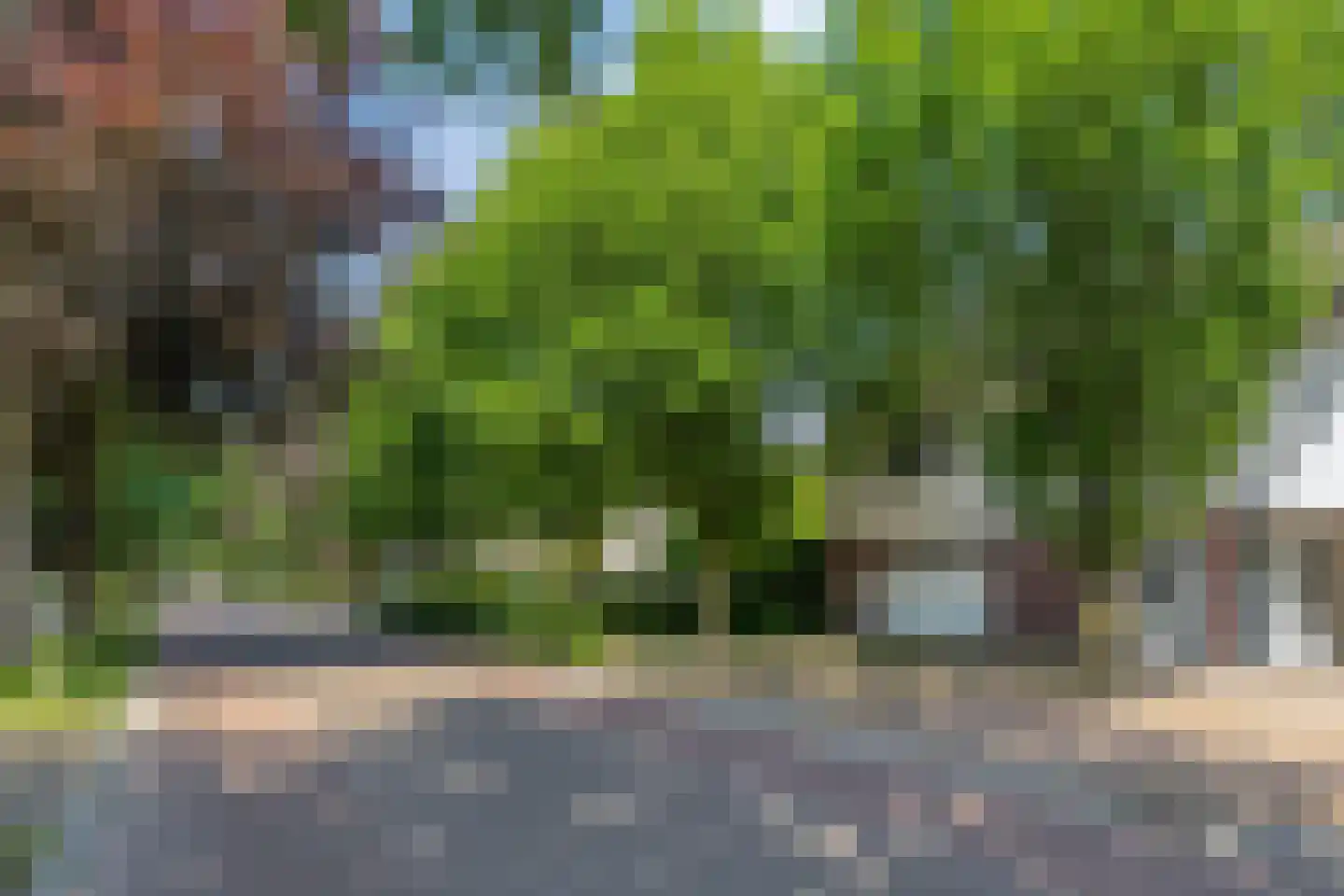 Hoofdstraat 31 A 's Gravenmoer thumbnail 8