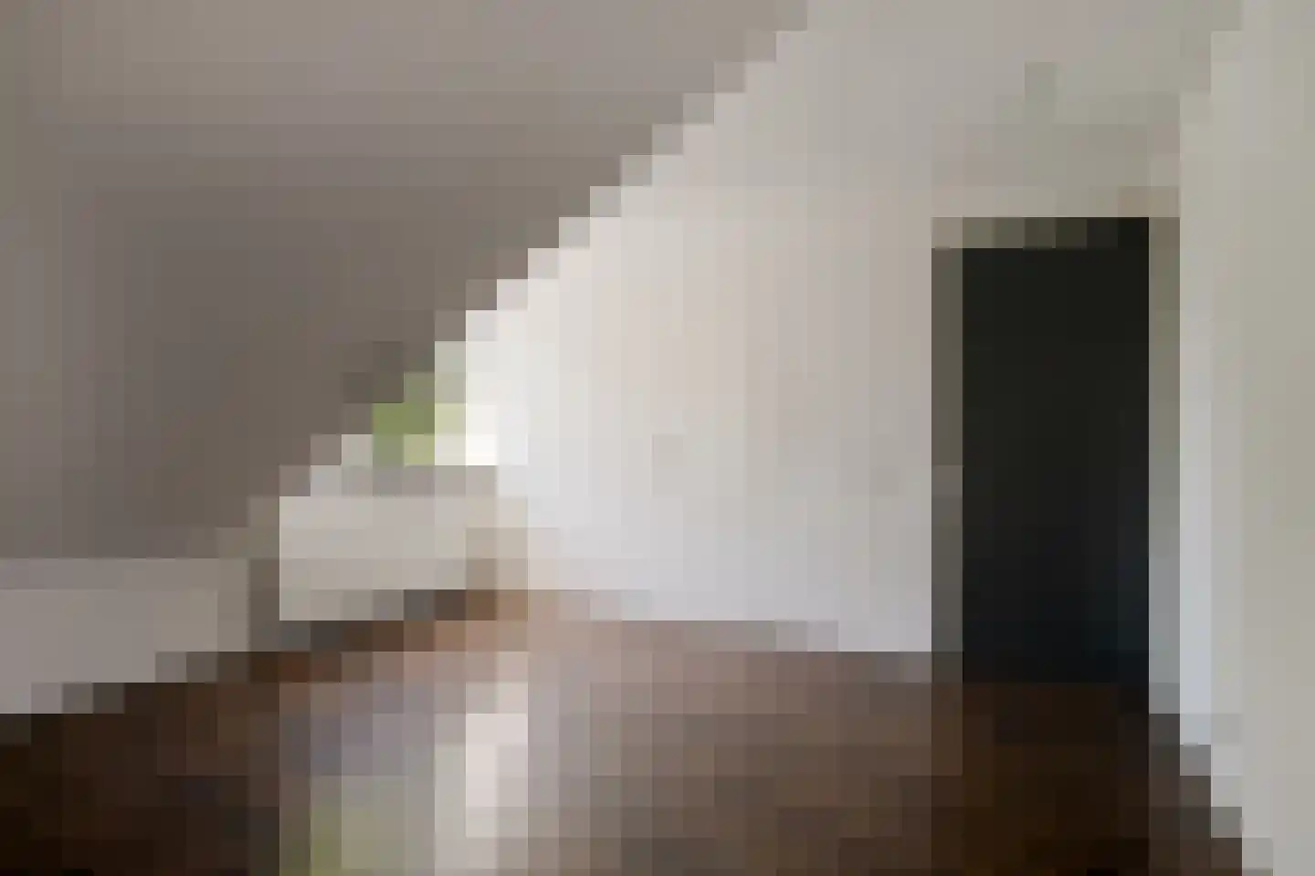 Hoofdstraat 31 B 's Gravenmoer thumbnail 4