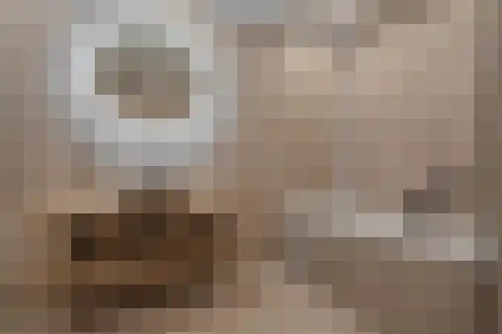 Hoofdstraat 31 Nieuwolda thumbnail 5