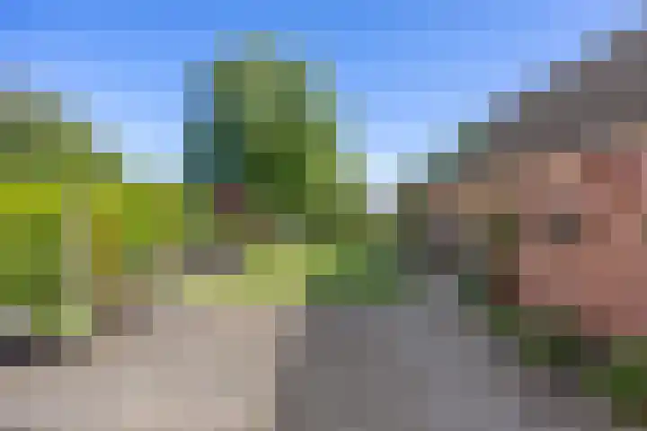 Hoofdstraat 31 Stedum thumbnail 24