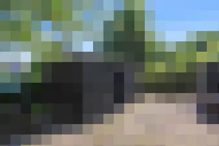 Hoofdstraat 31 Stedum thumbnail 29