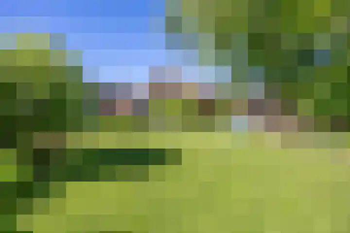 Hoofdstraat 31 Stedum thumbnail 31
