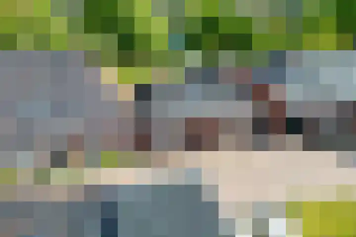 Hoofdstraat 31 Stedum thumbnail 33
