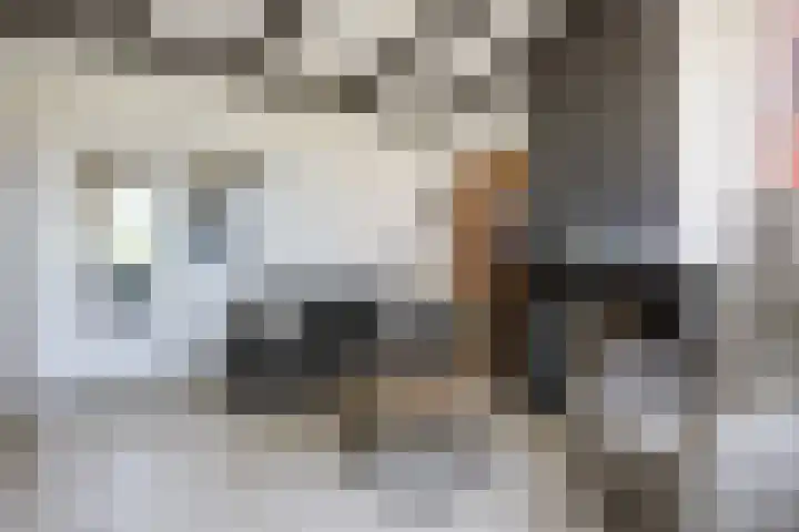 Hoofdstraat 31 Stedum thumbnail 9