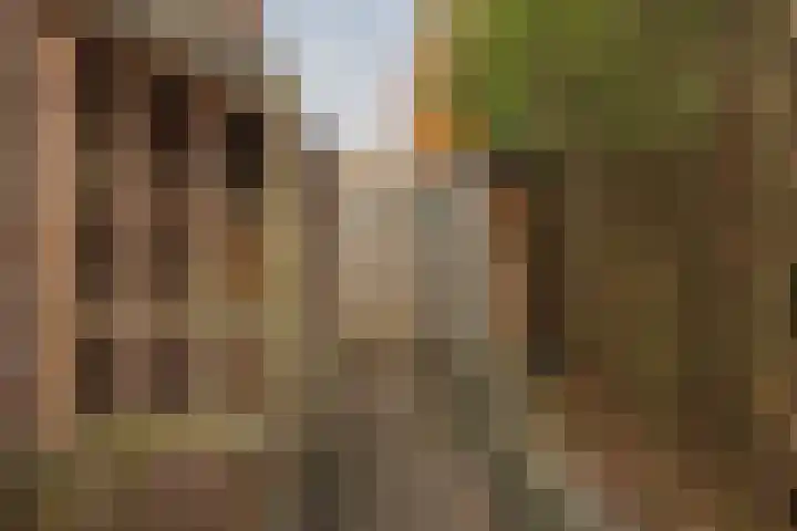 Hoofdstraat 32 a Lottum thumbnail 34