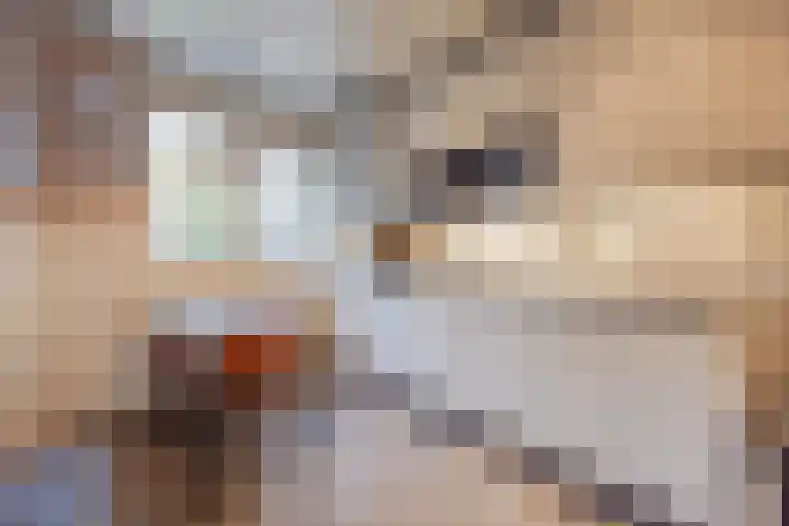 Hoofdstraat 32 a Lottum thumbnail 4
