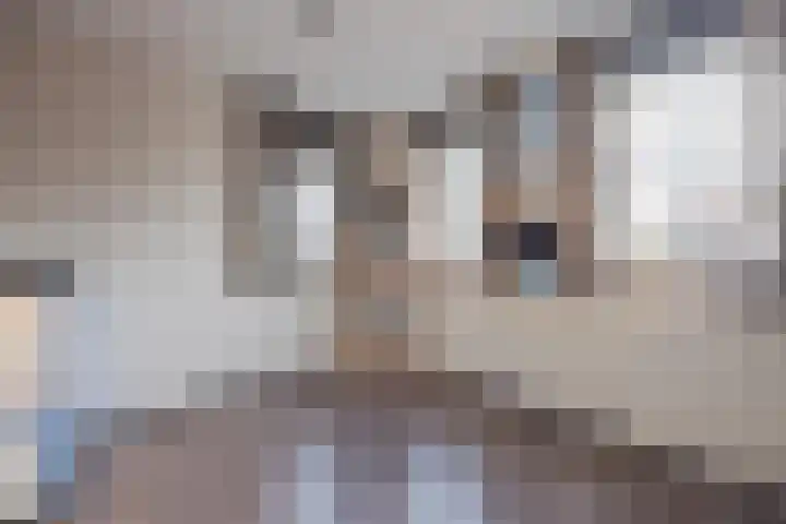 Hoofdstraat 32 a Lottum thumbnail 5