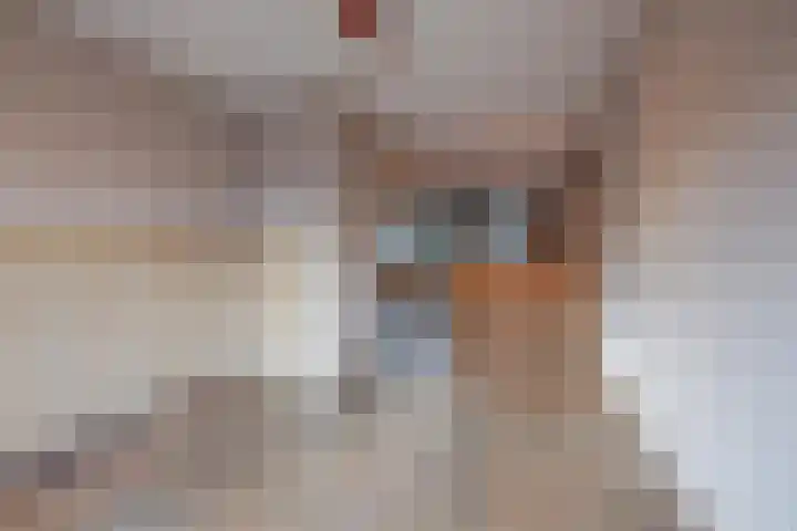 Hoofdstraat 32 a Lottum thumbnail 9