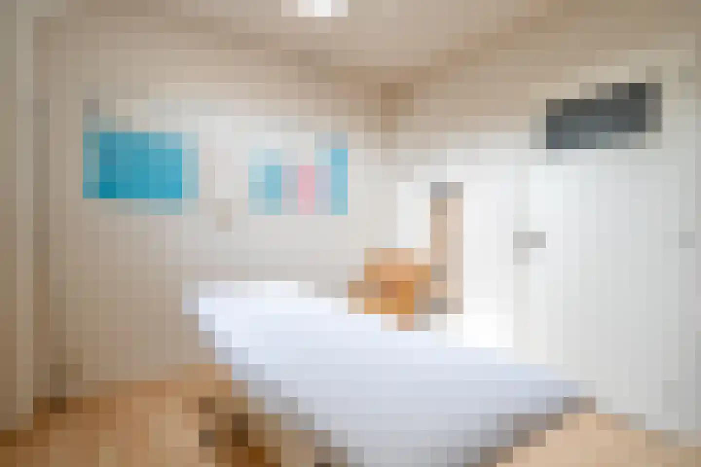 Hoofdstraat 32 Hooghalen thumbnail 43