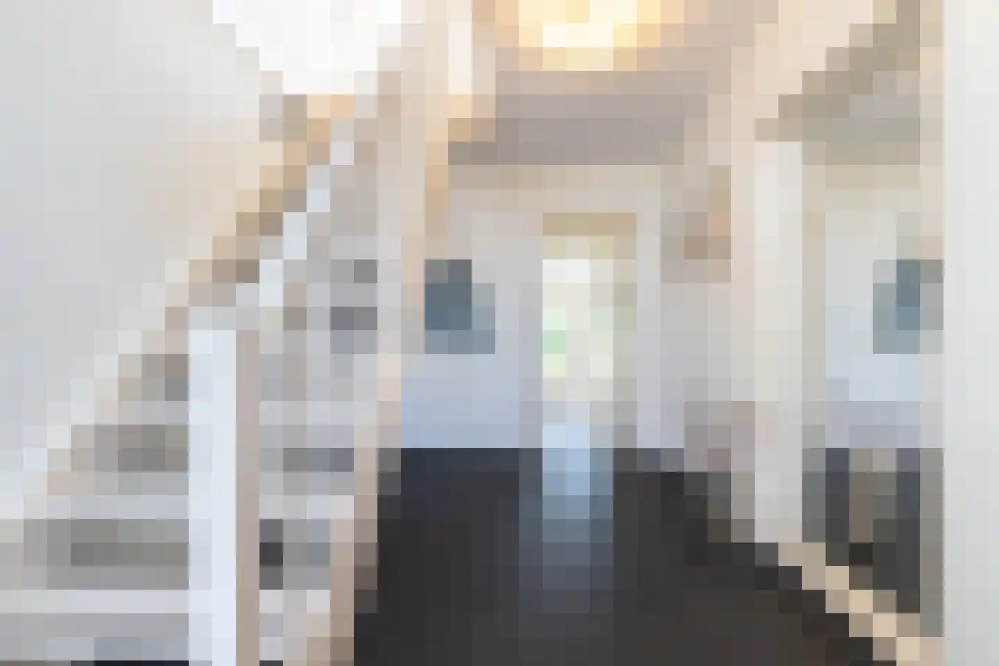 Hoofdstraat 32 Niezijl thumbnail 10