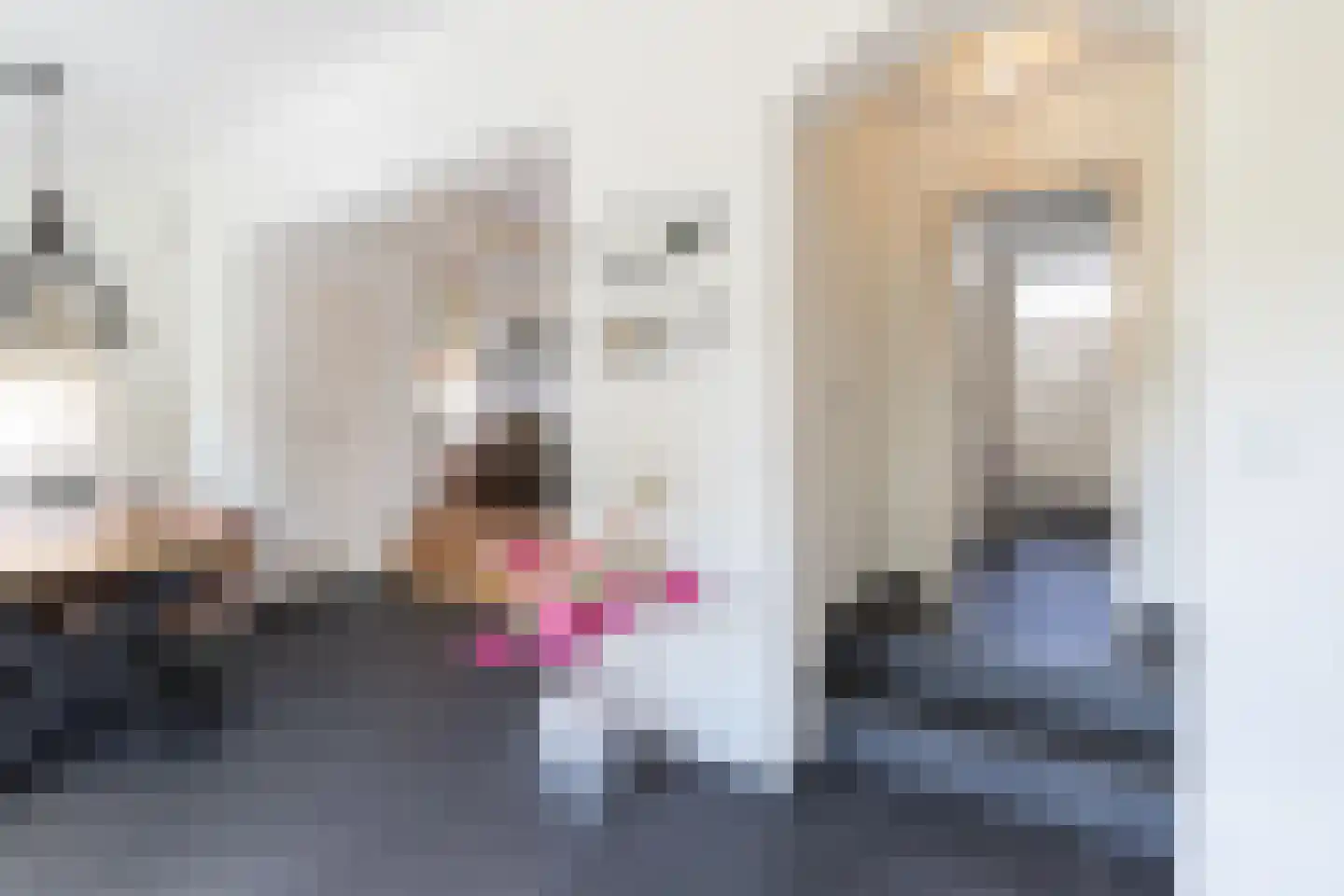 Hoofdstraat 32 Niezijl thumbnail 12