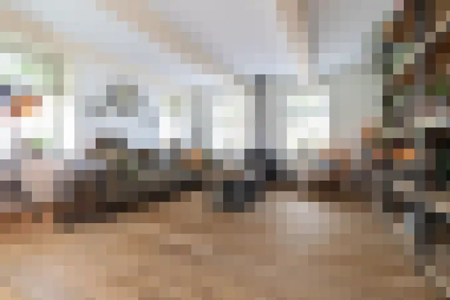 Hoofdstraat 32 Niezijl thumbnail 14