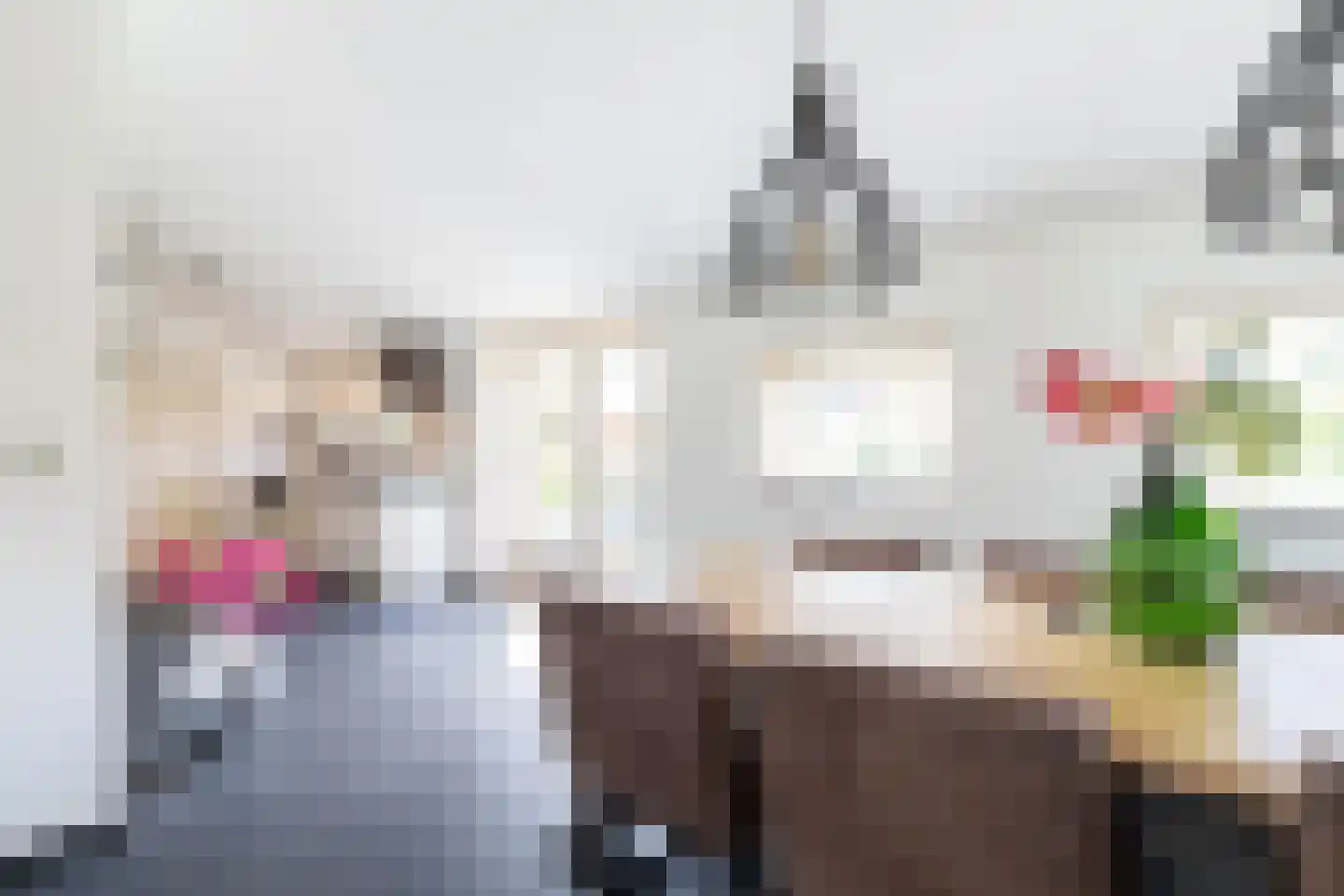 Hoofdstraat 32 Niezijl thumbnail 16