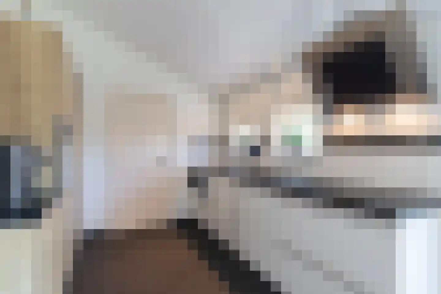 Hoofdstraat 32 Niezijl thumbnail 17