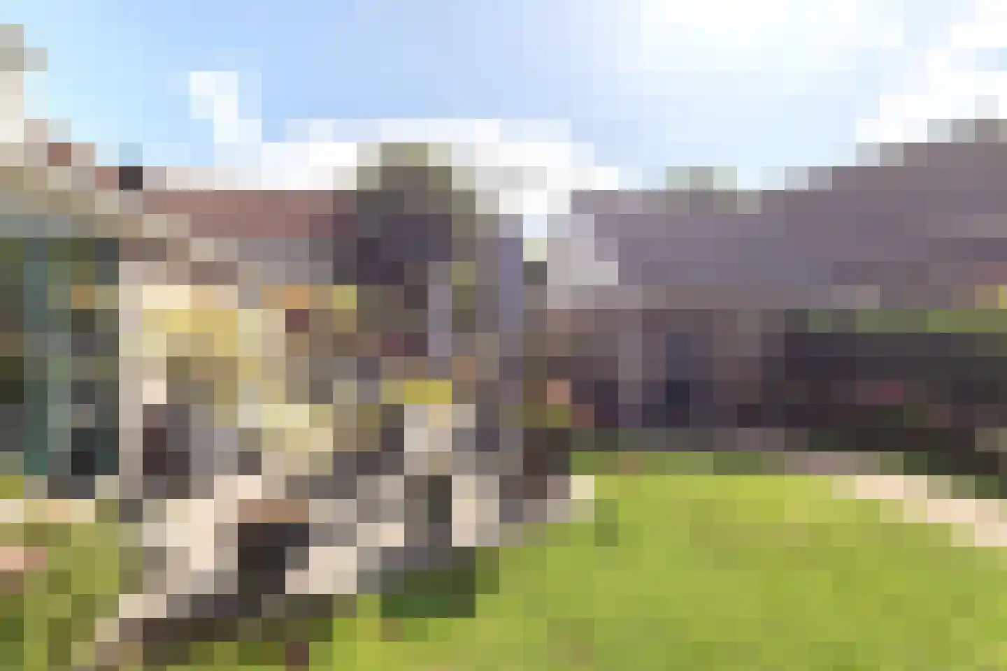 Hoofdstraat 32 Niezijl thumbnail 23