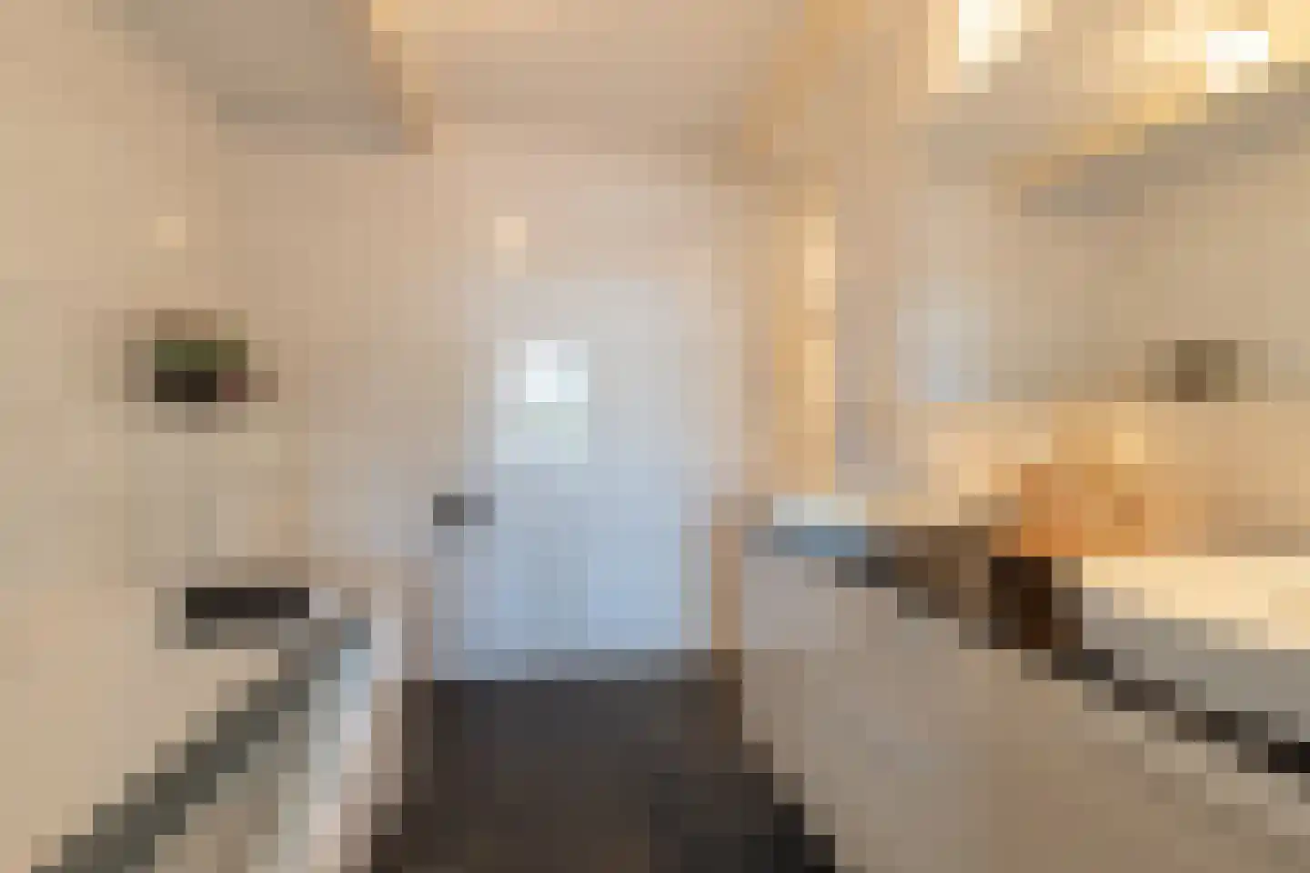 Hoofdstraat 32 Niezijl thumbnail 31