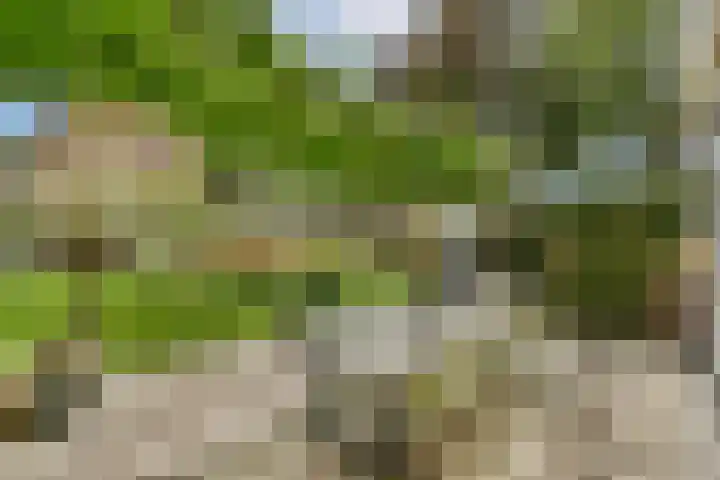 Hoofdstraat 322 Sassenheim thumbnail 15