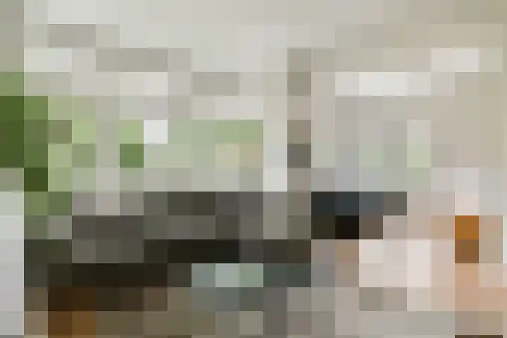 Hoofdstraat 322 Sassenheim thumbnail 7