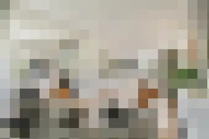 Hoofdstraat 322 Sassenheim thumbnail 8