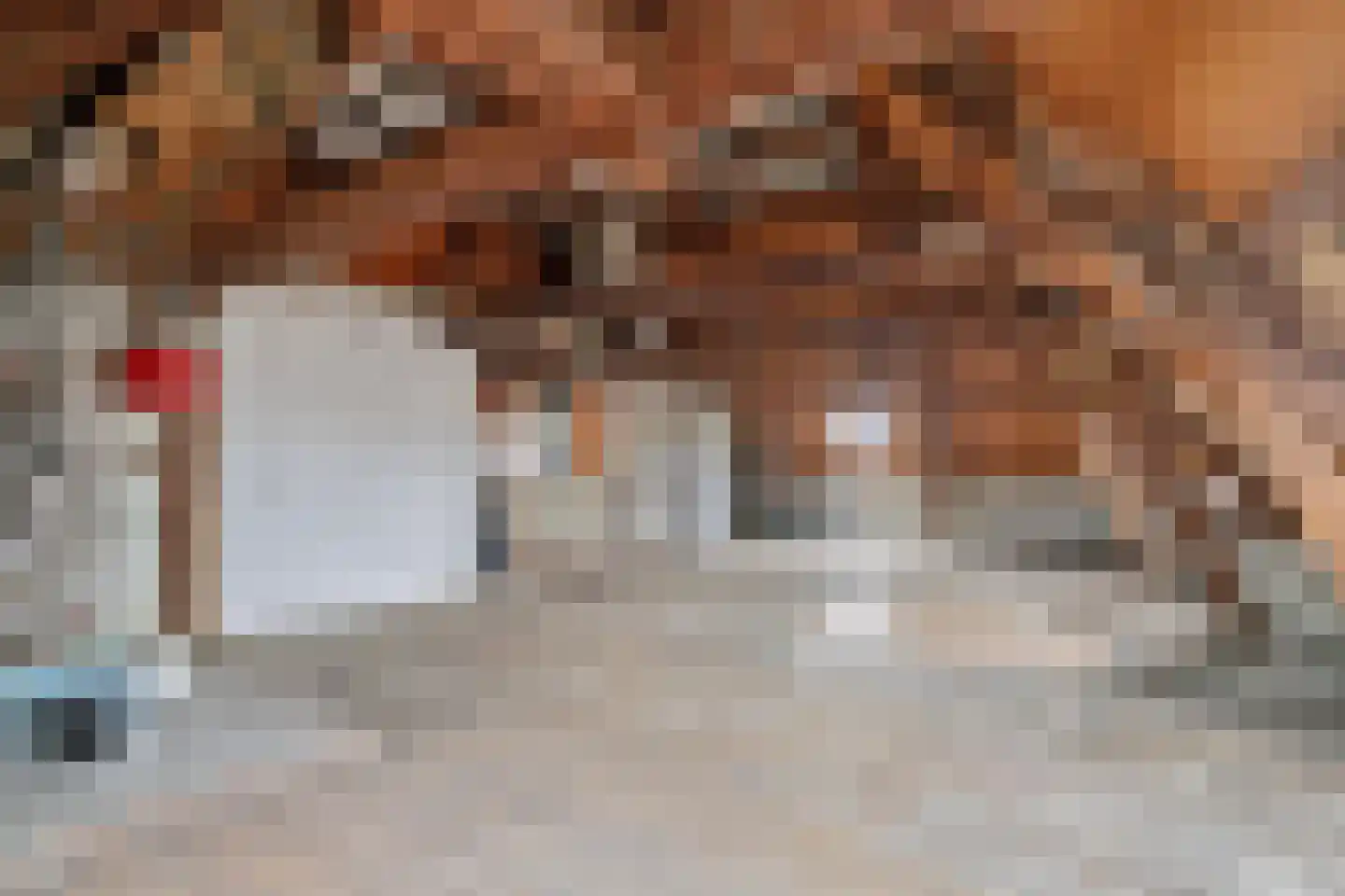 Hoofdstraat 33 Schijndel thumbnail 48